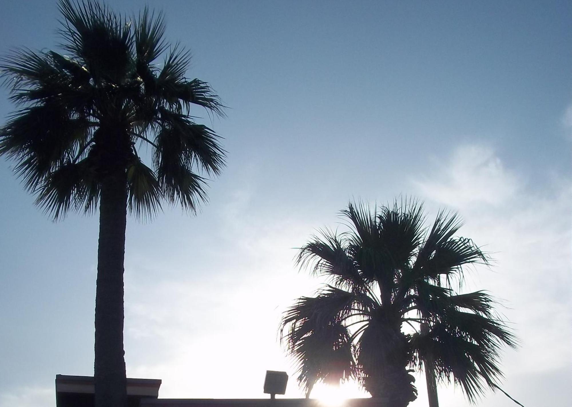 Whispering Palms Inn Del Rio Extérieur photo